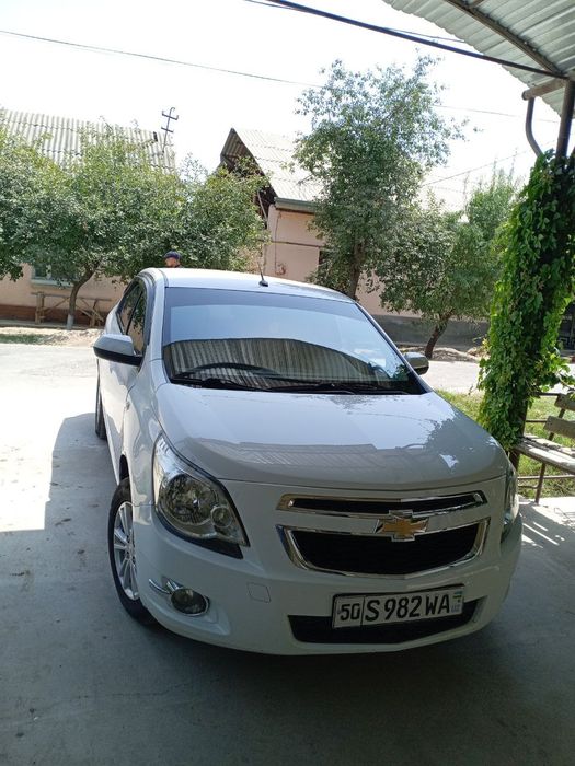 Кобилът идял мошина