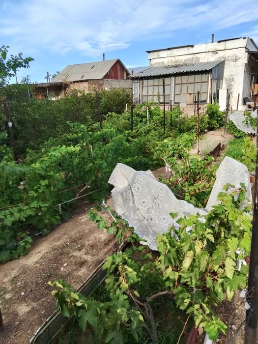 Пролается дача 10соток