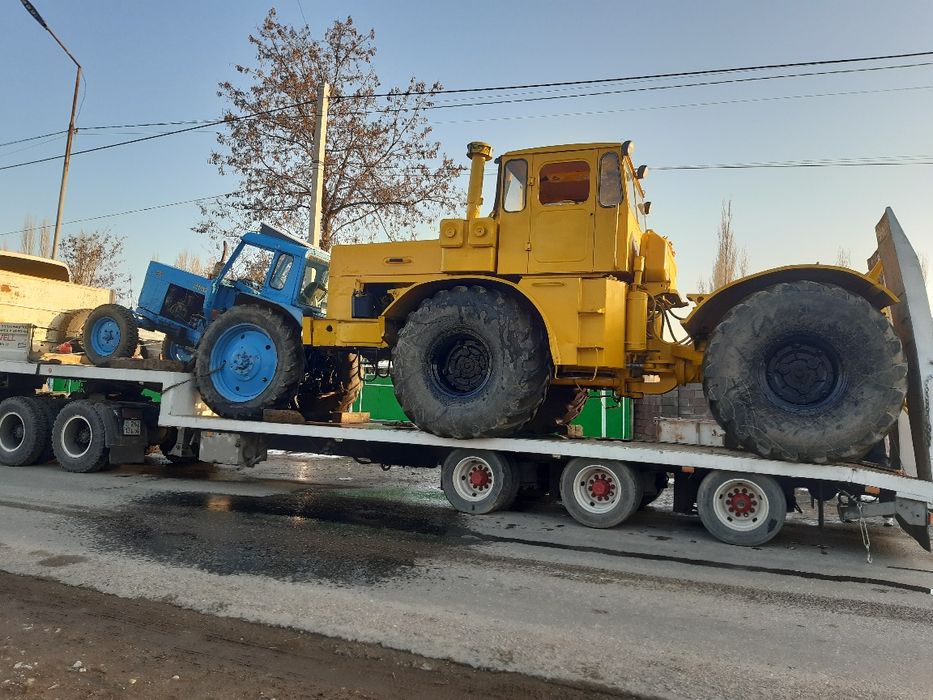 Услуга трал цена дог