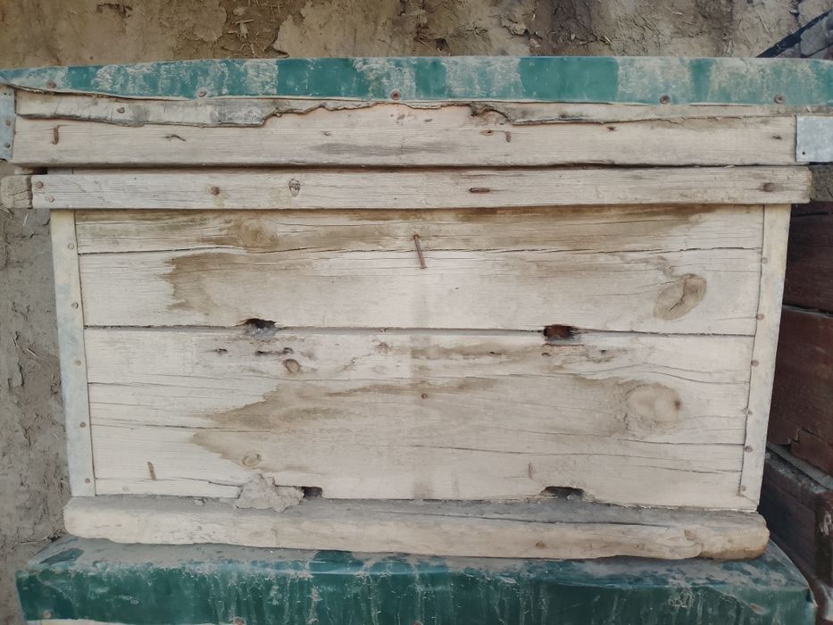 Asalari yashiklari sotiladi narxi 250000 kelshiladi koʻproq olinsa 200