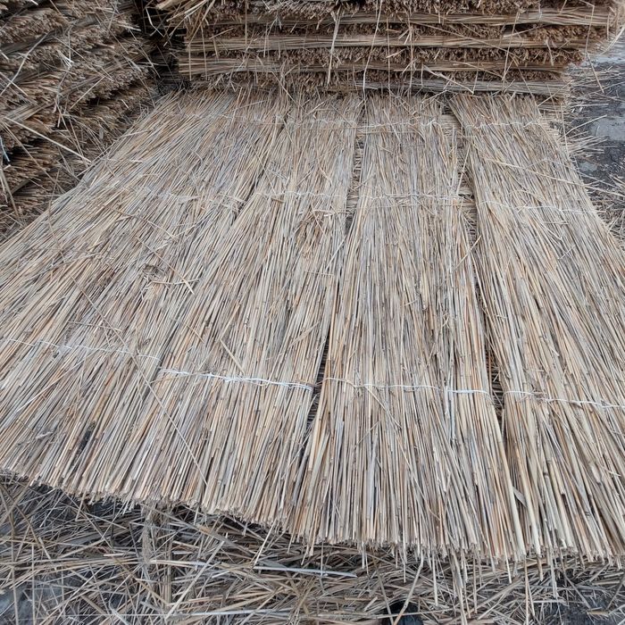 Камыс Камиш Мата