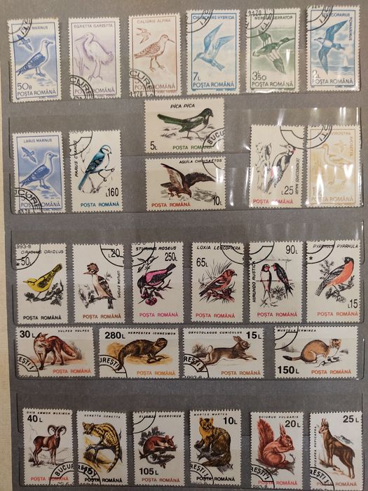 Почтовые марки. Альбом "Животные".