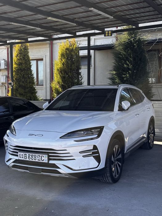 BYD Champion Gibrid 2024