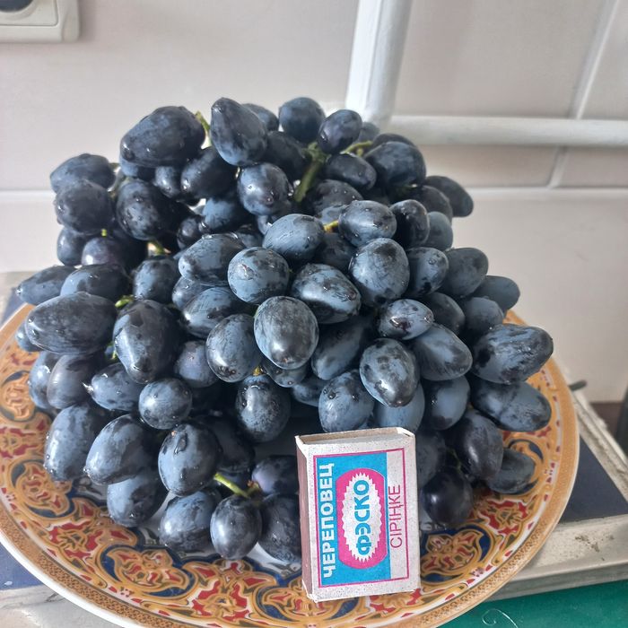 Продаю саженцы винограда элитные сорта