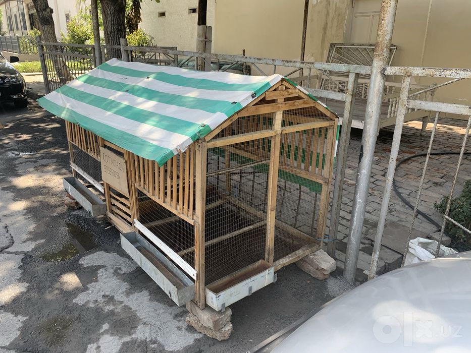 Tovuq katak sotiladi