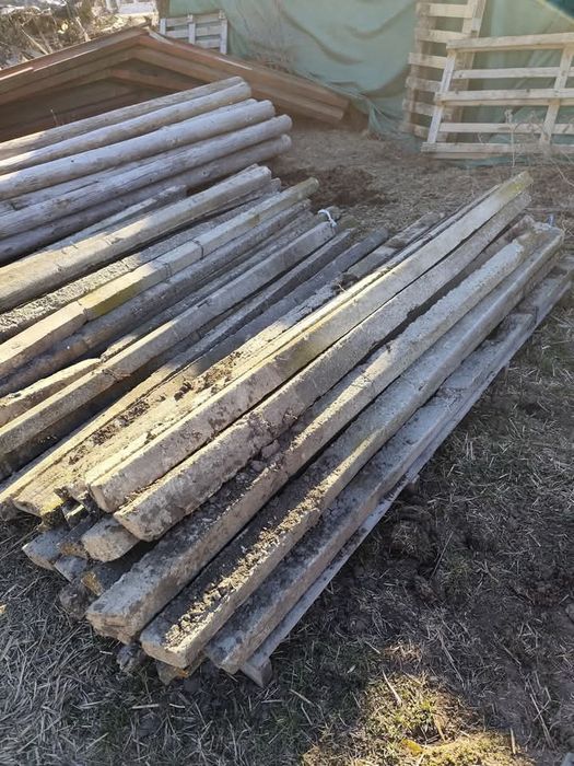 Vand spalierii 2.40 m