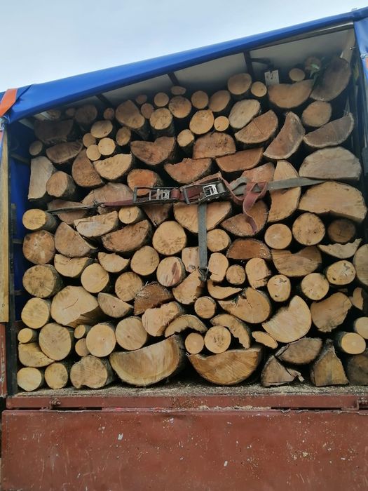 Lemne fag și stejar