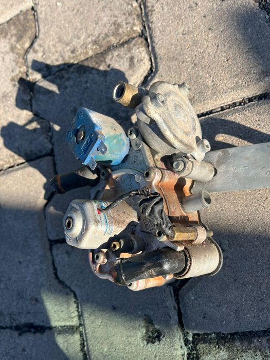 Гбо бу , stag польша