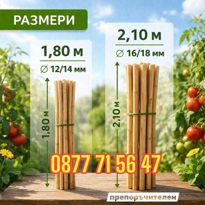 Колчета за домати от бамбук 180см / 210см кол, бамбукови пръчки 1,80м или 2,10м колци колове за домати и цветя от естествен бамбуков материал