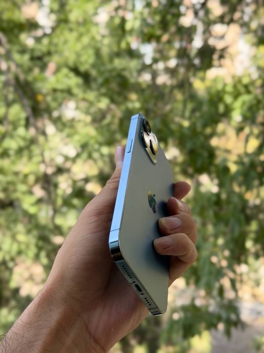 iPhone 12 Pro Max