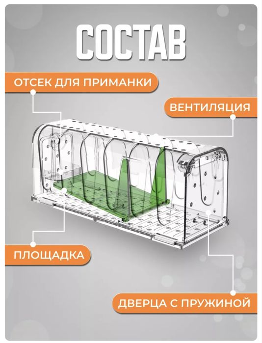 Гуманная мышеловка