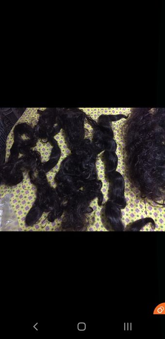 5 Meşe de par artificial 40-50cm la 50 lei totul