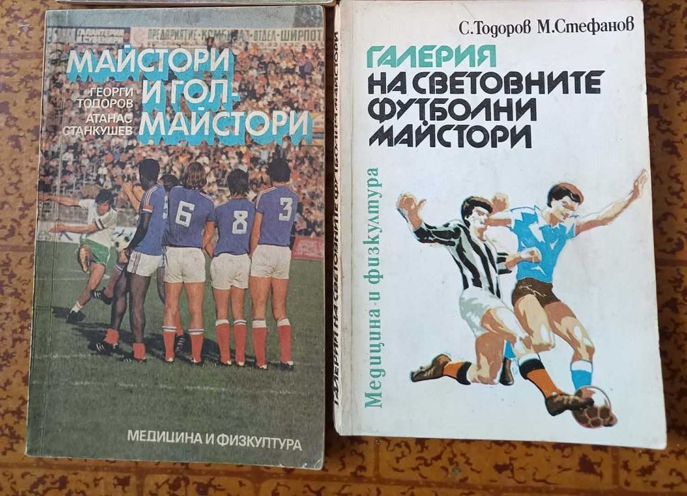 Шал от мача  Ирландия - Австрия (2016 г.) - футболна квалификация за световното през 2018 година + ПОДАРЪК: няколко футболни книги)!