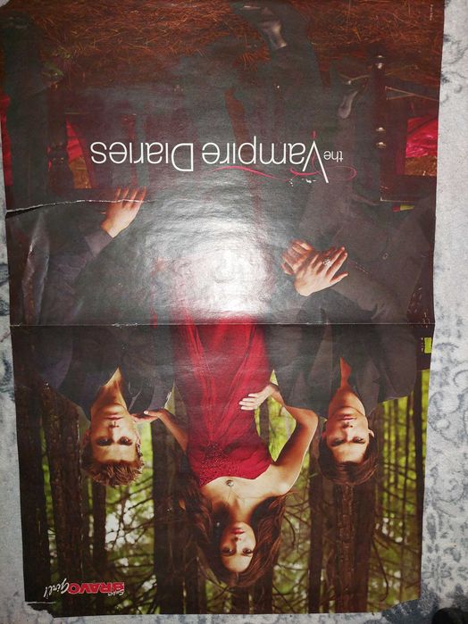 Poster The Vampire Diaries/ Big Bang