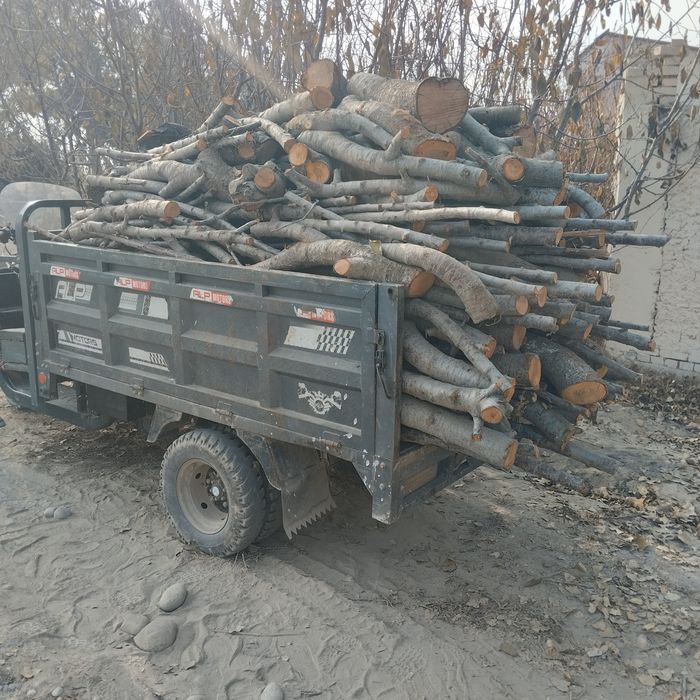 Утин Урик тайор бор