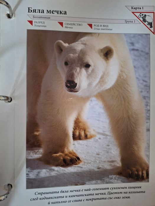 Енциклопедии "Чудният свят на животните"