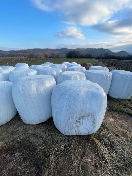 Vand baloti infoliati de lucerna