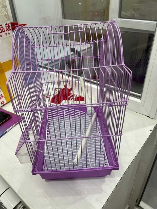 Клетка Живой мир