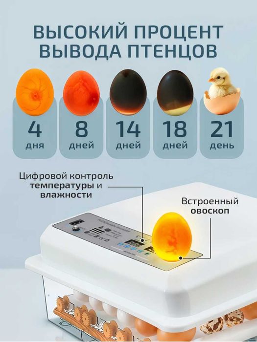 Автоматический инкубатор яиц с автоповоротом