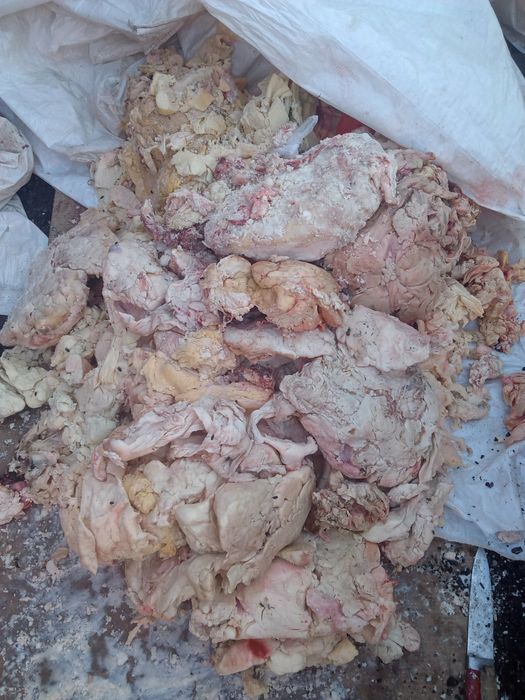 Жир гов. технический