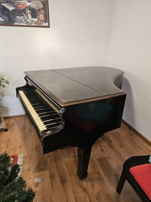 Vând pian de coada scurta