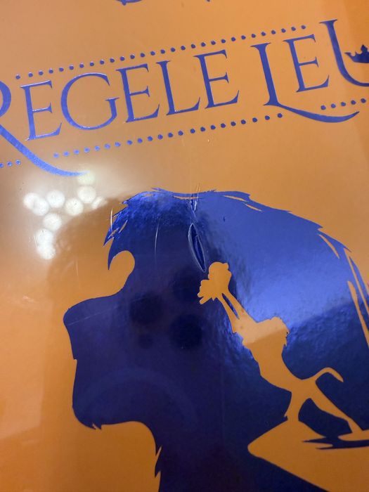 Disney Romane de neuitat - Regele leu