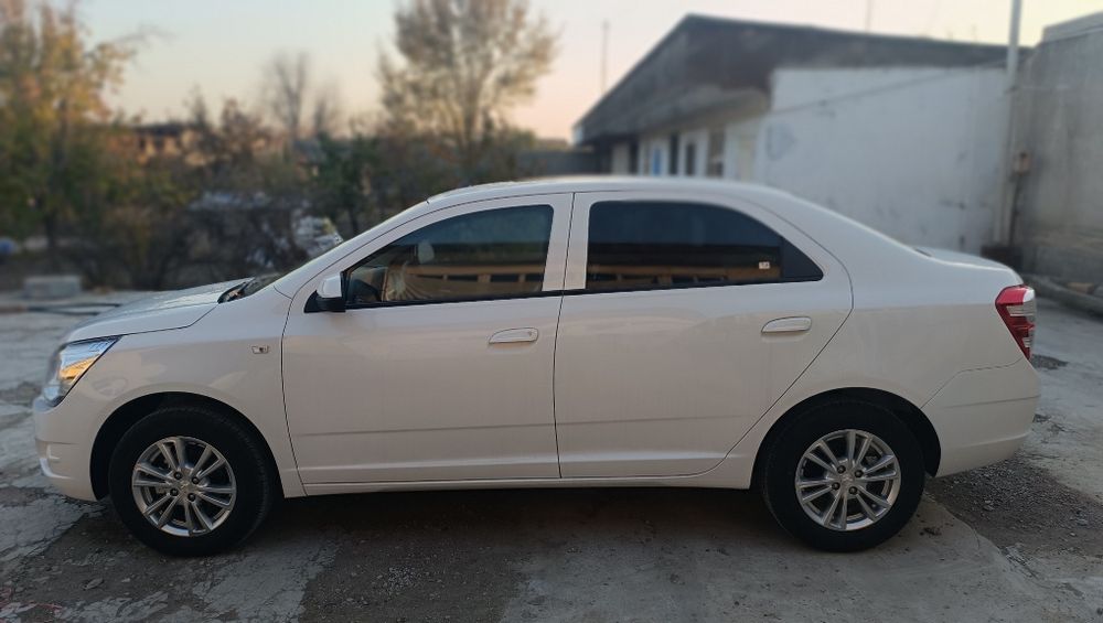 Cobalt Gx Style 2025-yil