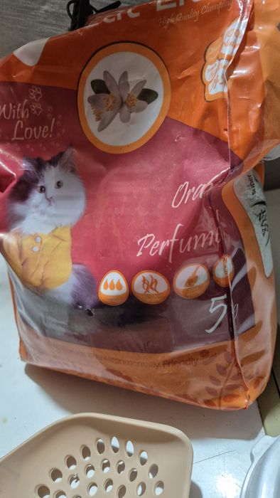 Зоотовар для милых котят