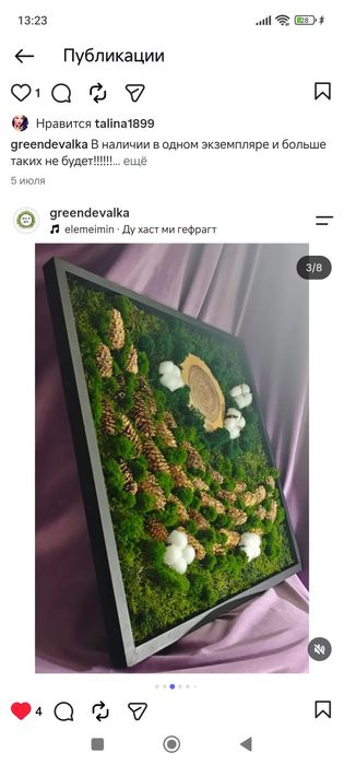 Картина из мха..