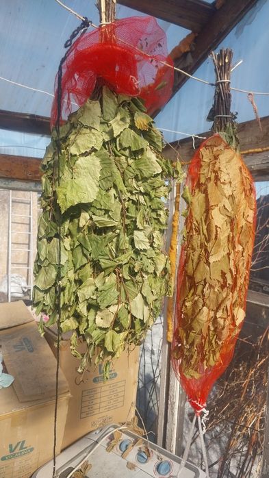 Продам банные берёзовый веники