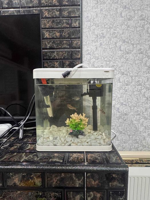 Аквариум akvarium