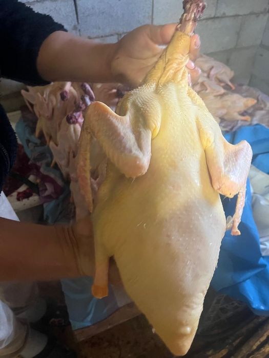 Очищенные Гуси и утки