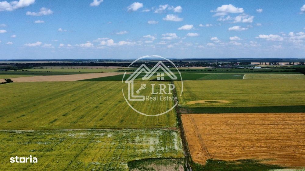 Teren Intravilan 20.000 mp Creata Dascalu, T66– dubla deschidere