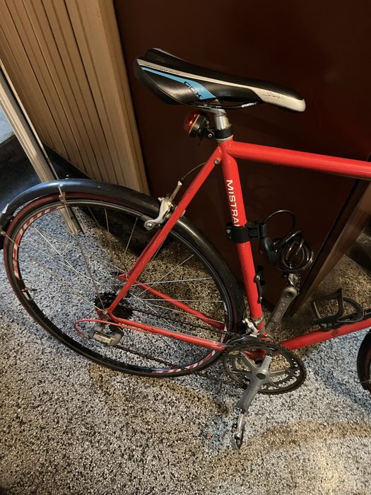 Френски бегач в добро състояние