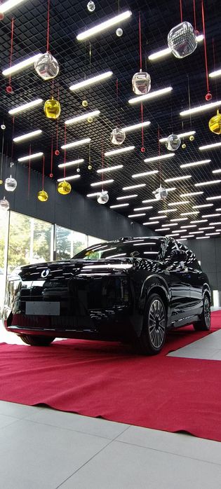 DENZA N8L 2025 Premium