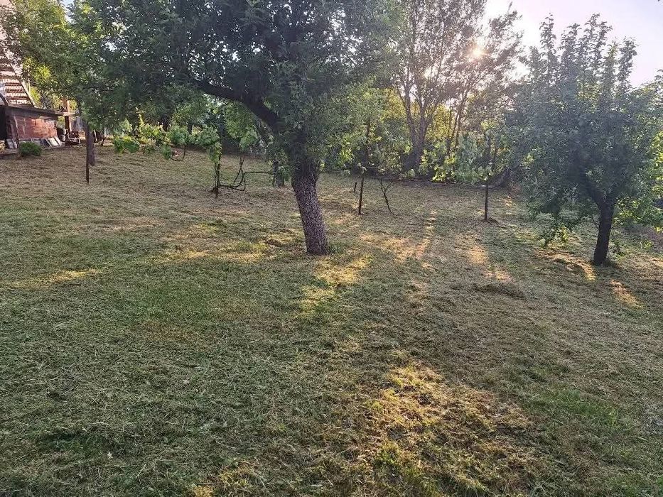 Косене на тревни площи