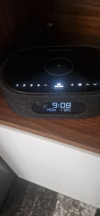 Harman kardon oasis wifi