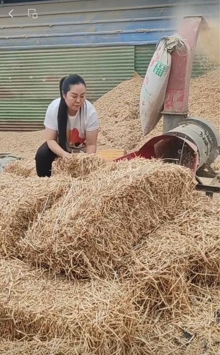 Драбилка Жоди Ут маудалагич