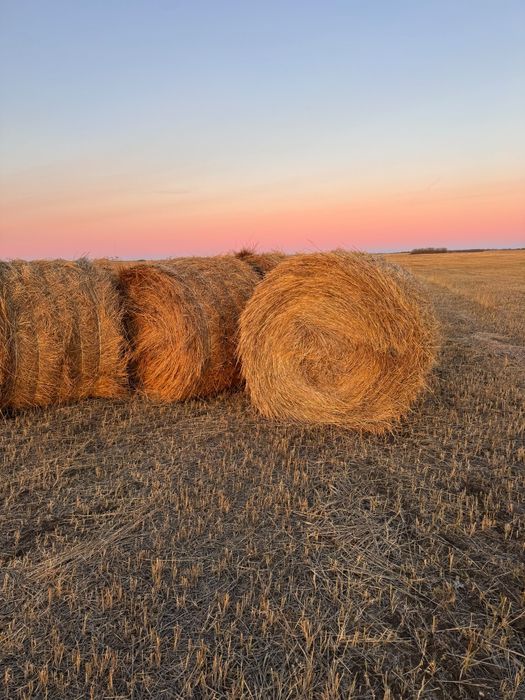 Продам сено рулонах