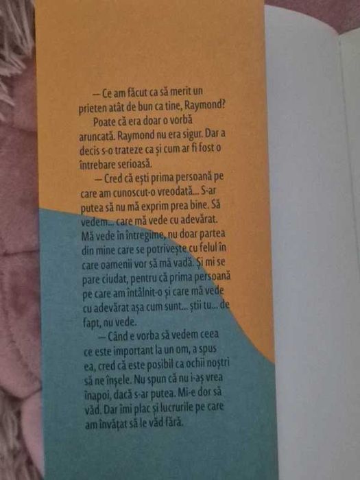 L-ați văzut pe Luis Velez? carte for teen