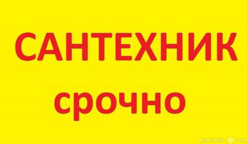 Сантехник. Услуги.