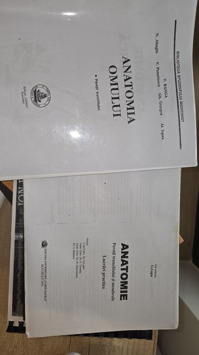 Ranga&Lupu Manual Curs si LP Anatomie Peretii Trunchiului