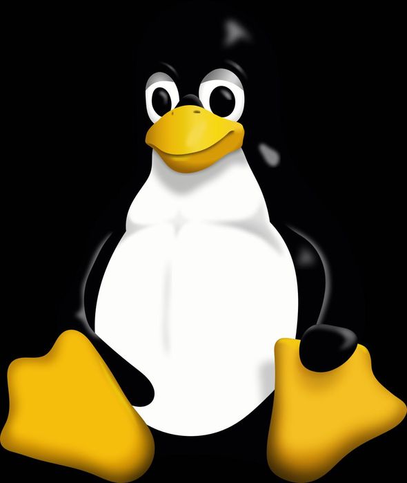 Ofer curs Linux 2025