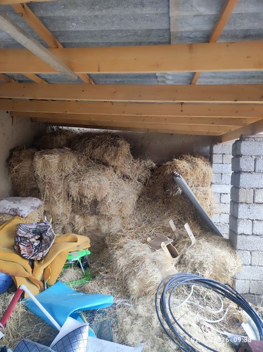 Samon press sotiladi 6000 soʻm