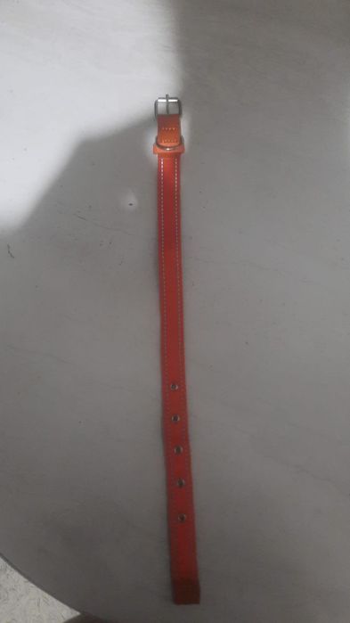 Продам для собаки