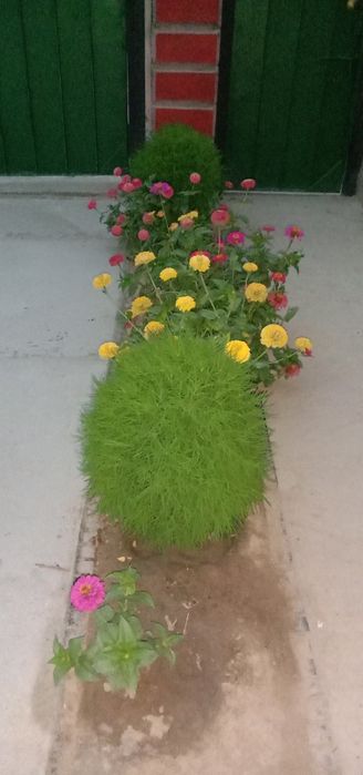 Продам дом Коккайнар, Илийский район