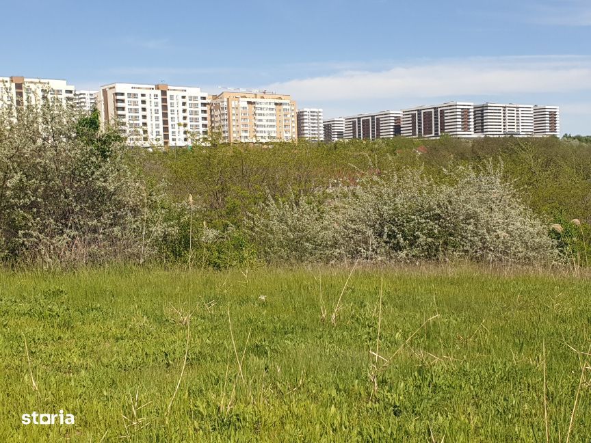 Teren intravilan IASI - COPOU - VITICULTORI - in vecinatatea padurii