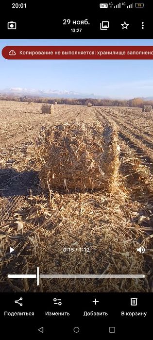 Продам кукурузу в рулонах