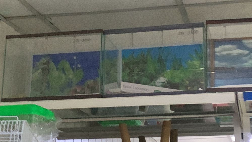 Аквариумы матрёшка