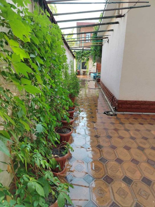 Продается своя 2х комнатная квартира  в Чиланзарском районе